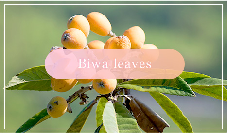 Biwaleaves